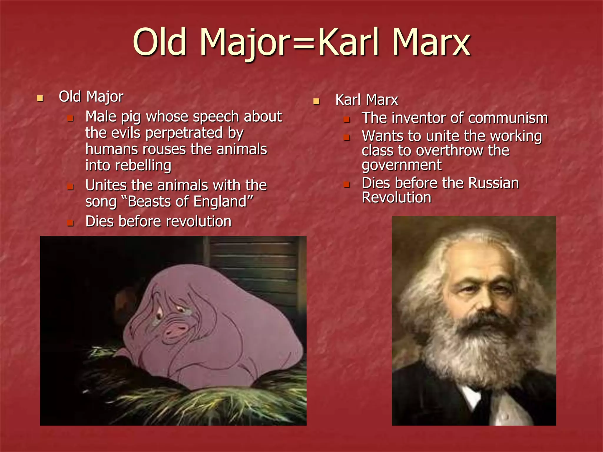 Old Major=Karl Marx
 Old Major
 Male pig whose speech about
the evils perpetrated by
humans rouses the animals
into rebelling
 Unites the animals with the
song “Beasts of England”
 Dies before revolution
 Karl Marx
 The inventor of communism
 Wants to unite the working
class to overthrow the
government
 Dies before the Russian
Revolution
 
