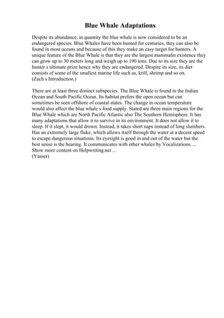 Blue Whale Adaptations
Despite its abundance, in quantity the blue whale is now considered to be an
endangered species. Blue Whales have been hunted for centuries, they can also be
found in most oceans and because of this they make an easy target for hunters. A
unique feature of the Blue Whale is that they are the largest mammalin existence they
can grow up to 30 meters long and weigh up to 190 tons. Due to its size they are the
hunter s ultimate prize hence why they are endangered. Despite its size, its diet
consists of some of the smallest marine life such as, krill, shrimp and so on.
(Zach s Introduction.)
There are at least three distinct subspecies. The Blue Whale is found in the Indian
Ocean and South Pacific Ocean. Its habitat prefers the open ocean but can
sometimes be seen offshore of coastal states. The change in ocean temperature
would also affect the blue whale s food supply. Stated are three main regions for the
Blue Whale which are North Pacific Atlantic also The Southern Hemisphere. It has
many adaptations that allow it to survive in its environment. It does not allow it to
sleep. If it slept, it would drown. Instead, it takes short naps instead of long slumbers.
Has an extremely large fluke, which allows itself through the water at a decent speed
to escape dangerous situations. Its eyesight is good in and out of the water but the
best sense is the hearing. It communicates with other whales by Vocalizations....
Show more content on Helpwriting.net ...
(Yasser)
 