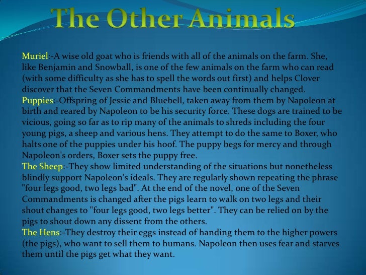 Animal farm