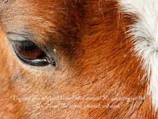 Napoleon even killed and harmed other animals! He was acting just like
Mr. Jones. The animals grew sad, and weak.
 