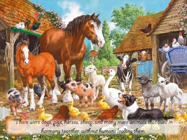 The book animal farm