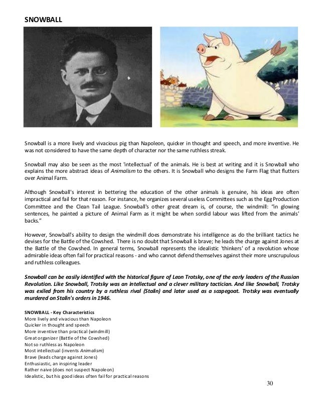 Napoleon animal farm essay