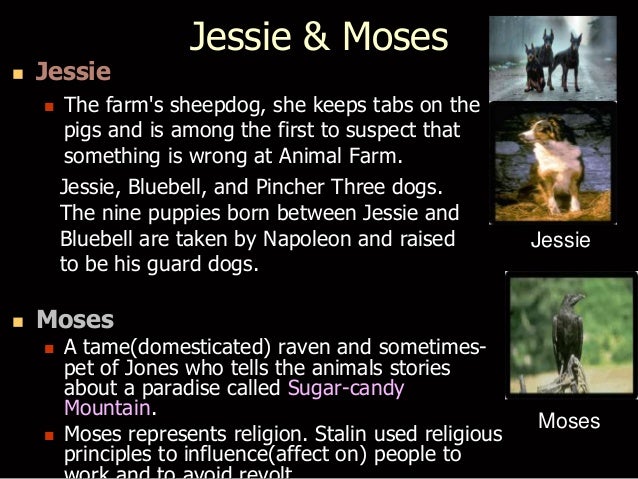 😎 What does moses represent in animal farm. Animal Farm