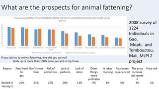 Animal fattening and fodders