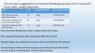 Animal fattening and fodders