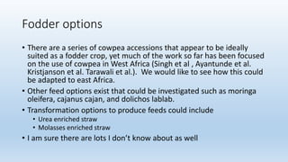 Animal fattening and fodders