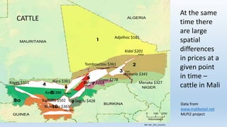 Animal fattening and fodders