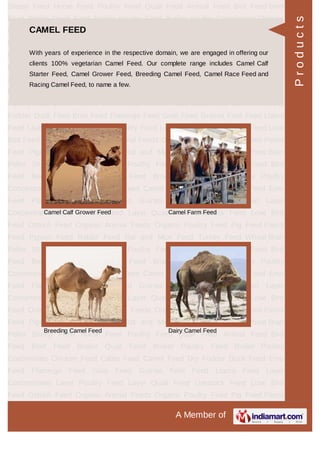 LAYER QUAIL FEED
Quail Starter Feed Layer Quail Grower Feed
Egg Laying Quail Feed
Products
 