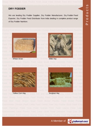 CAMEL FEED
Camel Calf Grower Feed Camel Farm Feed
Breeding Camel Feed Dairy Camel Feed
Products
 