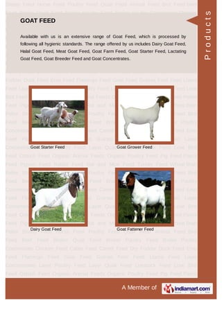 PIGEON FEED
Pigeon Feed Textured Pigeon Feed
Breeding Pigeon Feed Pigeon Lifecycle Feed
Products
 