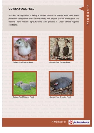 BEEF FEED
Cattle Breeder Feed Calf Finisher Feed
Cattle Feed Bull Feed
Products
 