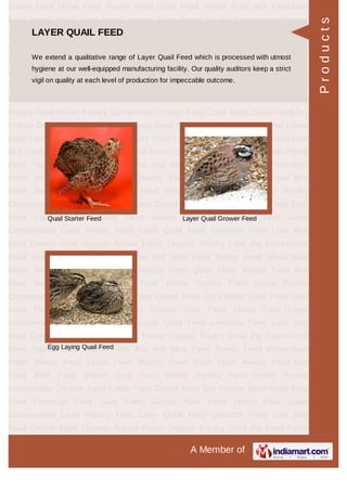 BROILER POULTRY CONCENTRATE
Broiler Concentrate 2.5% Broiler Poultry
Concentrates 5%
Broiler Chicken
Concentrate 7.5%
Broiler Concentrate 10%
Products
 