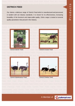 LAYER CONCENTRATES
Layer Concentrate Layer Concentrate 5%
Layer Concentrates 7.5% Layer Poultry
Concentrates 10 %
Products
 