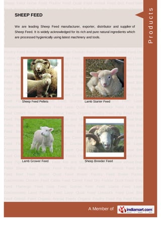 HORSE FEED
Horse Feed Foal Starter Feed
Breeding Mare Feed Equine Feed
Products
 