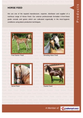 SHEEP FEED
Sheep Feed Pellets Lamb Starter Feed
Lamb Grower Feed Sheep Breeder Feed
Products
 