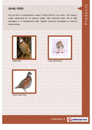 QUAIL FEED
Quail Feed Layer Quail Feed
Broiler Quail Feed
Products
 