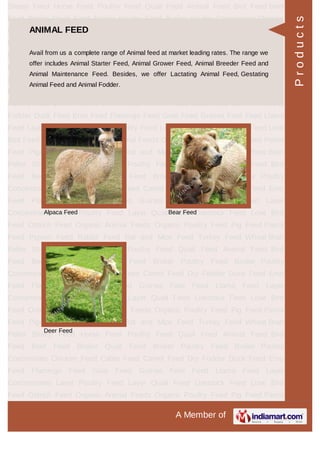 TURKEY FEED
Turkey Pre Starter Feed Turkey Starter Feed
Turkey Grower Feed Turkey Finisher Feed
Products
 