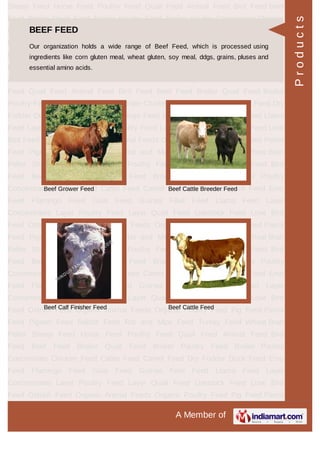 DUCK FEED
Duck Starter Feed Duck Grower Feed
Duck Finisher Feed Duck Breeder Developer
Feed
Products
 