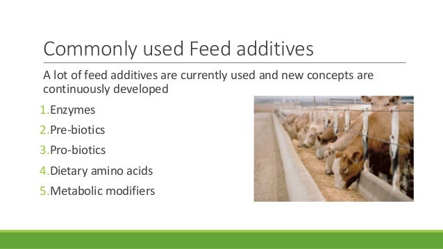 Role of biotechnology in animal feed