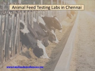 www.tamilnadutesthouse.com
Animal Feed Testing Labs in Chennai
 
