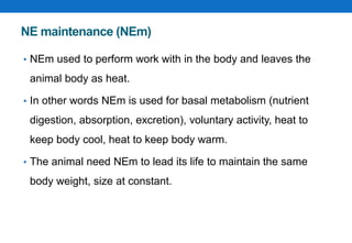 Animal Feed and Nutrition (Ch3).pptx