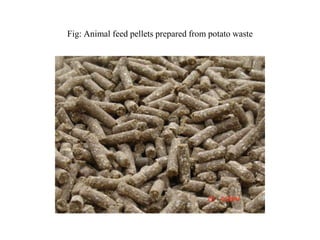 Fig: Animal feed pellets prepared from potato waste
 