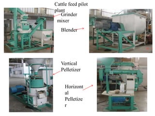 Cattle feed pilot
plant
Grinder
mixer
Blender
Vertical
Pelletizer
Horizont
al
Pelletize
r
 