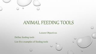 ANIMAL FEEDING TOOLS
Lesson Objectives
Define feeding tools
List five examples of feeding tools
 