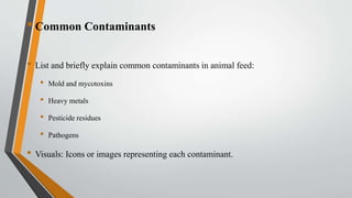•Common Contaminants
• List and briefly explain common contaminants in animal feed:
• Mold and mycotoxins
• Heavy metals
• Pesticide residues
• Pathogens
• Visuals: Icons or images representing each contaminant.