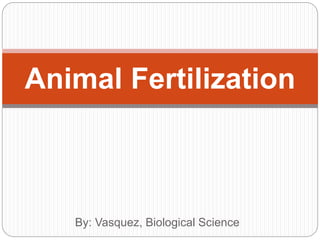By: Vasquez, Biological Science
Animal Fertilization
 
