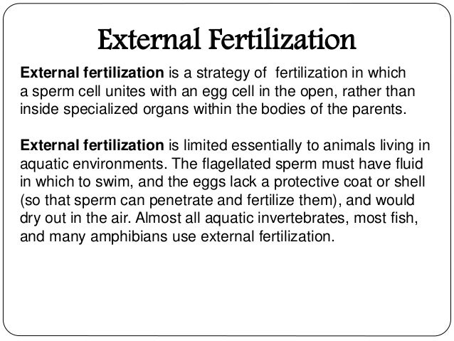 external fertilization