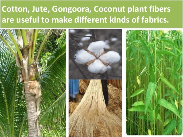 Animal fibre