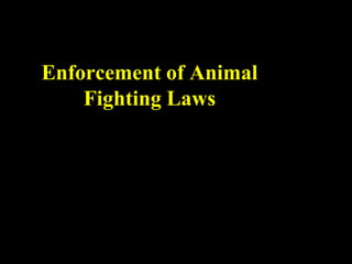 Enforcement of Animal
    Fighting Laws
 