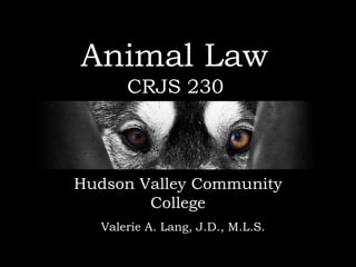 Animal Law
       CRJS 230



Hudson Valley Community
        College
   Valerie A. Lang, J.D., M.L.S.
 