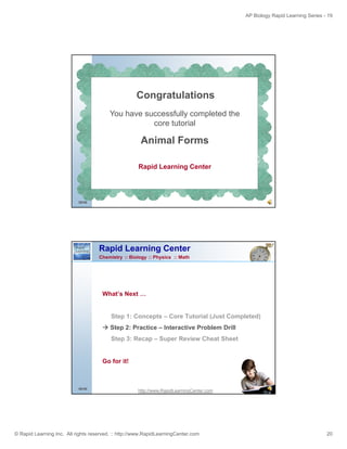 Animal form | PDF
