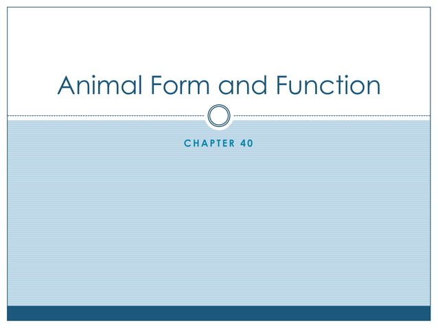 Animal form and function | PPTX