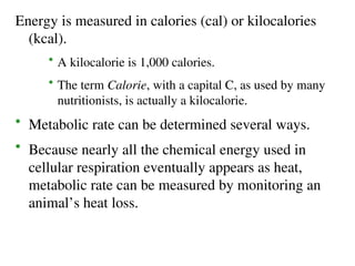 Energy is measured in calories (cal) or kilocalories
(kcal).
• A kilocalorie is 1,000 calories.
• The term Calorie, with a capital C, as used by many
nutritionists, is actually a kilocalorie.
• Metabolic rate can be determined several ways.
• Because nearly all the chemical energy used in
cellular respiration eventually appears as heat,
metabolic rate can be measured by monitoring an
animal’s heat loss.
 