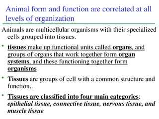 Animal_Form_and_Function .ppt