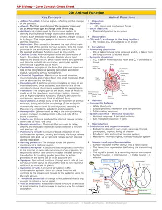 RapidLearningCenter.com.com © Rapid Learning Inc. All Rights Reserved
AP Biology - Core Concept Cheat Sheet
20: Animal Function
Key Concepts
• Action Potential: A nerve signal, reflecting on the change
of the potential.
• Alveoli: The final branchings of the respiratory tree and
act as the primary gas exchange units of the lung.
• Antibody: A protein used by the immune system to
identify and neutralize foreign objects like bacteria and
viruses. Each antibody recognizes a specific antigen unique
to its target. The major weapon in humoral immune
defense response.
• Brainstem: The connection between the rest of the brain
and the rest of the central nervous system. It is the most
primitive in the evolutionary chain and the function is for
life support and basic functions such as movement.
• Cardiac Cycle: Alternating relaxation and contraction of
heart. It contains three phases: diastole where heart
relaxes and blood fills in; atria systole where atria contract
and blood is pushed into ventricles, ventricular systole
where blood is pushed out of heart.
• Cerebellum: A region of the brain that plays an important
role in the integration of sensory perception and motor
output. Consisting of two hemispheres
• Chemical Digestion: Mainly occur in small intestine,
macromolecules are broken down into small molecules that
can be absorbed by the body.
• Complement: A defense protein circulating in blood in an
inactivated form, once activated, coat the surface of the
microbes to make them more susceptible to macrophages
• Forebrain: The largest part of the brain, most of which is
made up of the cerebrum; controls perception, memory,
and all higher cognitive functions, including the ability to
concentrate, reason and think in abstract form.
• Gastrulation: A phase early in the development of animal
embryos, during which the morphology of the embryo is
dramatically restructured by cell migration, resulting in
three layers: endoderm, ectoderm and mesoderm.
• Hemoglobin: (abbreviated as Hb) is the iron-containing
oxygen-transport metalloprotein in the red cells of the
blood in animals.
• Interferon: Proteins produced by infected tissues to help
other cells to resist the virus
• Neurotransmitter: Chemicals that are used to relay,
amplify and modulate electrical signals between a neuron
and another cell.
• Pulmonary circuit: A circuit of blood circulation in the
cardiovascular system, serving exclusively the lungs, where
red blood cells pick up oxygen and release carbon dioxide
during respiration
• Resting potential: The voltage across the plasma
membrane of a resting neuron.
• Sensory Receptor: A structure that recognizes a stimulus
in the internal or external environment of an organism. In
response to stimuli the sensory receptor initiates sensory
transduction by creating graded potentials or action
potentials in the same cell or in an adjacent one.
• Synapse: Specialized junctions through which cells of the
nervous system signal to one another and to non-neuronal
cells such as muscles or glands.
• Systemic circuit: A circuit of circulation in the
cardiovascular system. Blood circulates from the left
ventricle to the organs and tissues to the systemic veins to
the right atrium.
• Threshold potential: A change in the potential that is big
enough to initiate a nerve signal
• Villi an microvilli: Repeatedly folded structure on the wall
of small intestine that increases its surface area for nutrient
absorption.
Animal Functions
Digestion:
• Stomach:
o HCl, pepsin and mechanical forces
• Small intestine:
o Chemical digestion by enzymes
Respiration
• CO2 and O2 exchange in the lung capillary
o Hb releases CO2 and uptakes O2 in alveoli
Circulation
• Pulmonary circulation
o CO2 is taken to lung to be released and O2 is taken from
the lung to make O2-riched blood
• Systemic circulation
o CO2 is taken from tissue to heart and O2 is delivered to
tissue
Defense
• Nonspecific Defense
o White blood cells
o Special proteins: interferon and complement
o Inflammatory response
• Specific Defense – Immune response
o Humoral response: B cell and antibody
o Cell-mediated response: T cells
Reproduction
• Gastrulation and organ formation
o Endoderm: digestive tract, liver, pancreas, thyroid,
parathyroid, thymus, lining of bladder
o Ectoderm: skin and central nervous system
o Mesoderm: internal organs, skeletal/muscular system
Sensory and signal transmission
o Sensory receptor tranfer stimuli into a nerve signal
o The nerve sinal regenerate itself along the transmitting
axon
o The signal is passed to a receiving neuron via synapse
o Sensory neuron--> interneuron --> motor neuron -->
effector
Ganglion
Sensory Cell Body
Dorsal
Root White Matter
Gray Matter
Motor Cell
Body
Interneuron
Sensory axon
Motor
axon
Receptor
Effector
Spinal
Nerve
Right
Ventricle
Left
ventricle
Left
Atrium
Right
Atrium
Superior
Vena Cava
Inferior Vena
Cava
Atrioventricular
Valve
Aorta
Pulmonary
artery
Pulmonary
Veins
Semilunar
Valve
 