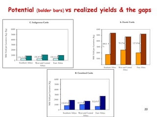 Animal genetic resources characterization and conservation research in Africa: An overview 