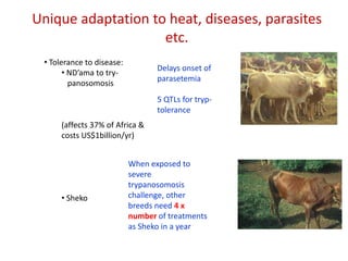Animal genetic resources characterization and conservation research in Africa: An overview 