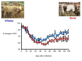 Animal genetic resources characterization and conservation research in Africa: An overview 