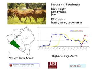Animal genetic resources characterization and conservation research in Africa: An overview 