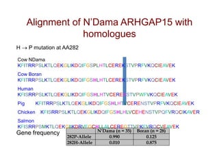 Animal genetic resources characterization and conservation research in Africa: An overview 