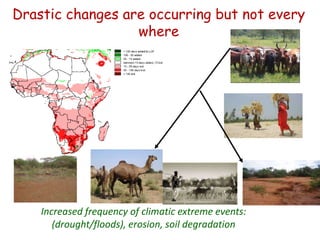 Animal genetic resources characterization and conservation research in Africa: An overview 