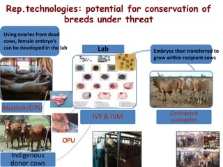 Animal genetic resources characterization and conservation research in Africa: An overview 
