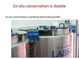 Animal genetic resources characterization and conservation research in Africa: An overview 