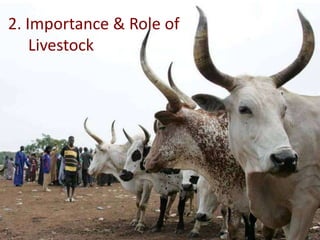 Animal genetic resources characterization and conservation research in Africa: An overview 