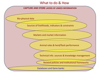 Animal genetic resources characterization and conservation research in Africa: An overview 