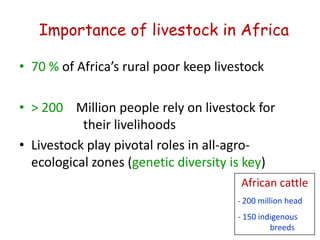 Animal genetic resources characterization and conservation research in Africa: An overview 